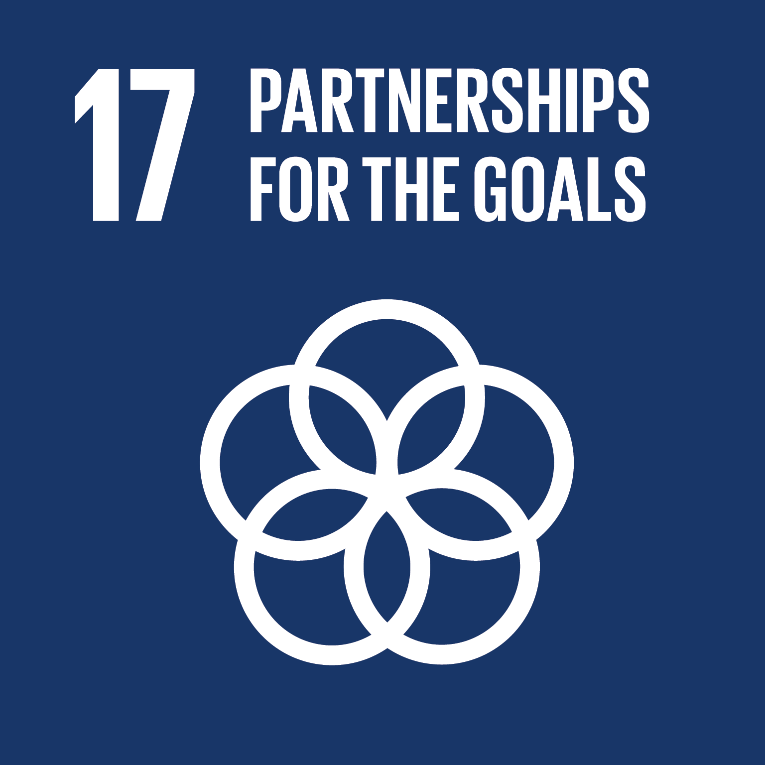 Partnerships for the Sustainable Development Goals in the US