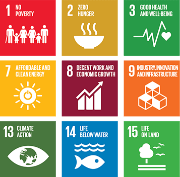 The UN SDGs key indicators benchmarking by state in the US